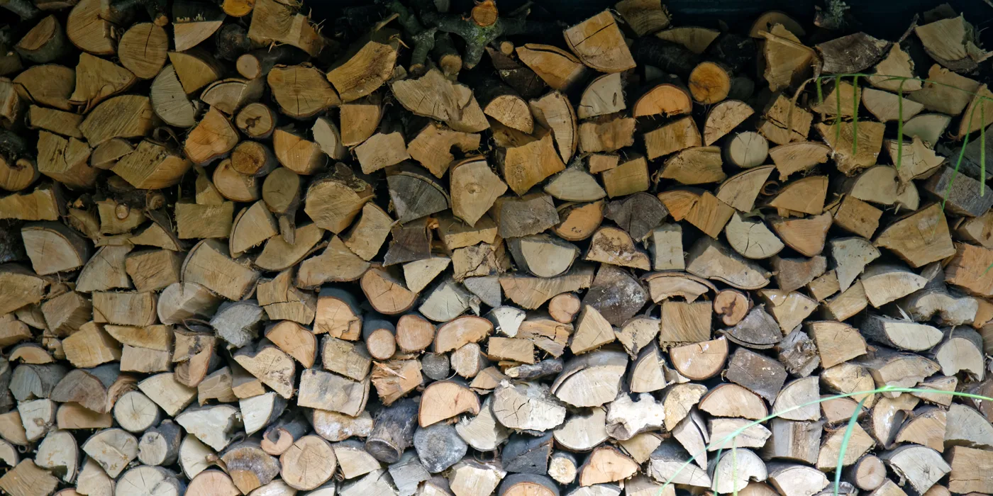Best Firewood UK: Kiln-Dried Logs and Wood Briquettes (2026)