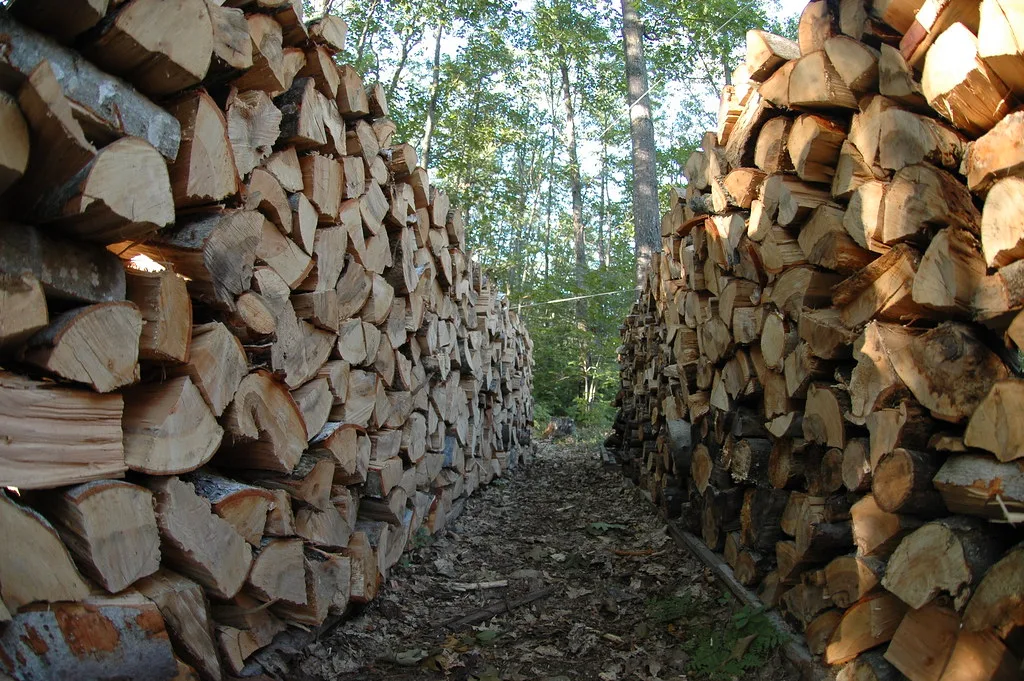 Buying Firewood in Bulk vs Amazon: Compare kWh, Not Nets