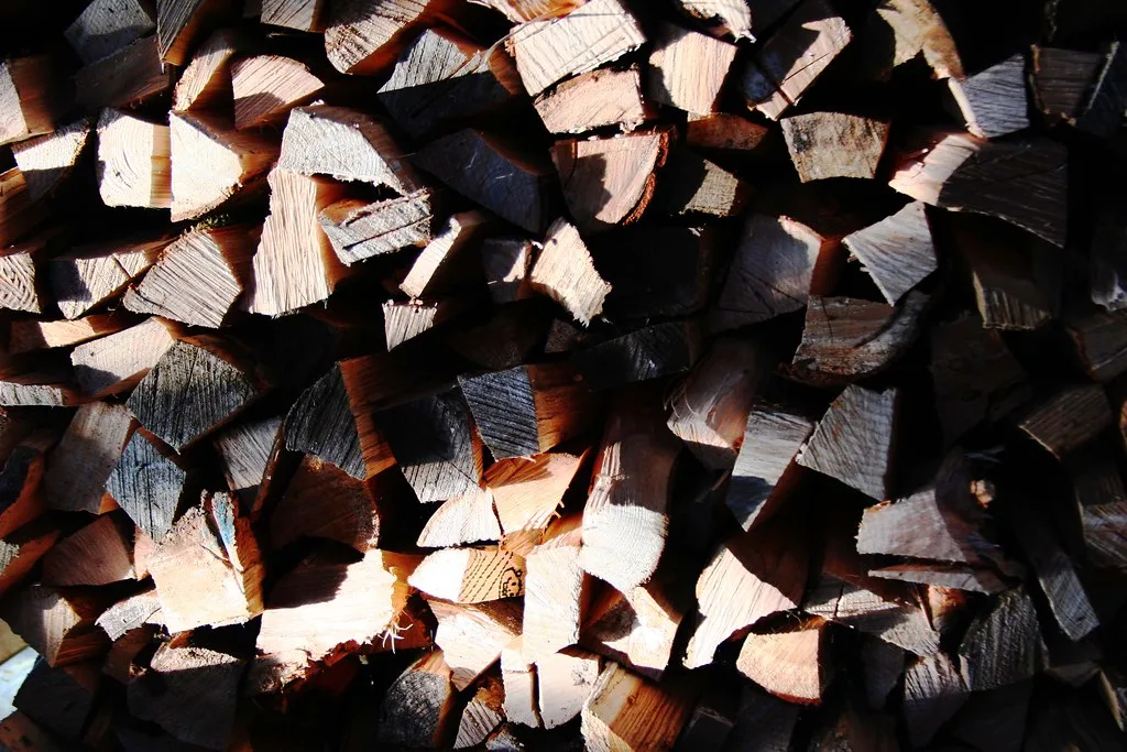 Ecoblaze Kiln Dried Logs Review: Sold by Litre, Not Kilo